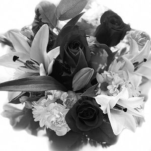 Meet your Posher, Frances